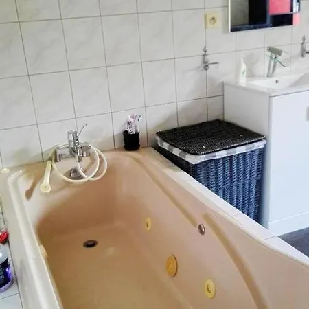 Maison De 2 Chambres Avec Jardin Amenage Et Wifi A D'ajol